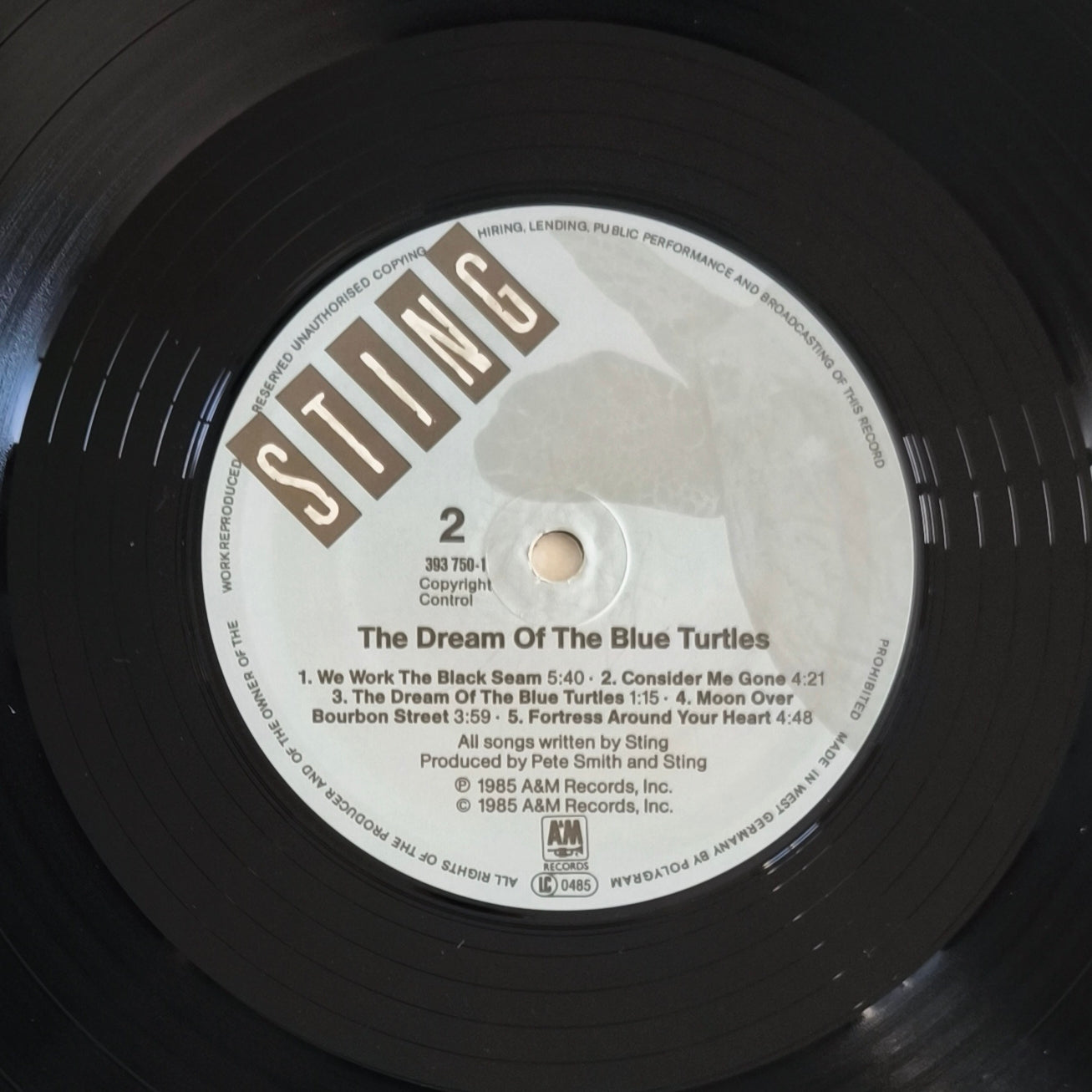 STING - The Dream Of The Blue Turtles