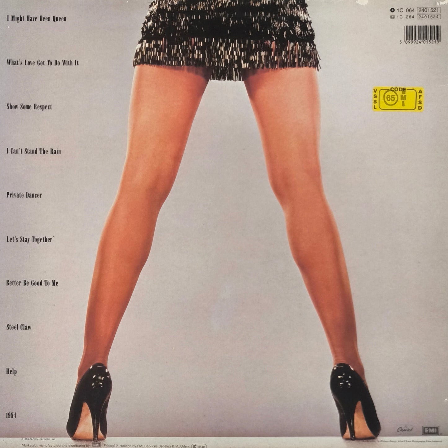 TINA TURNER - Private Dancer