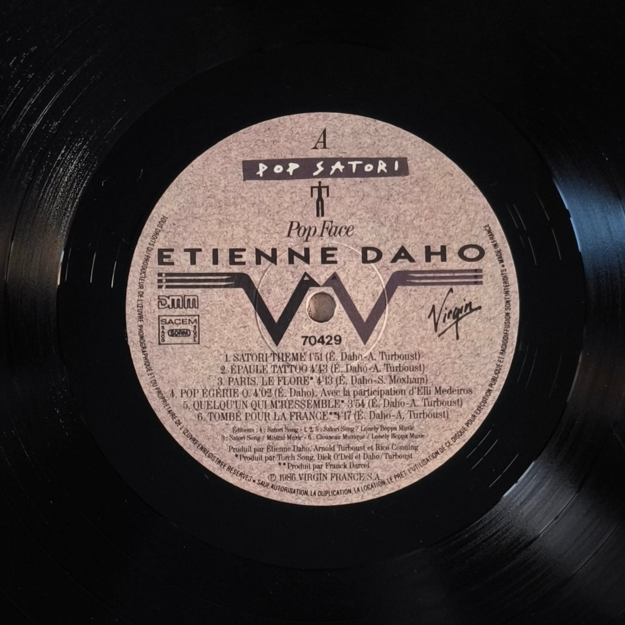 ETIENNE DAHO - Pop Satori