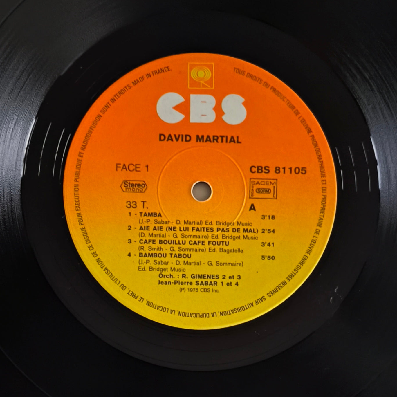 DAVID MARTIAL - Tamba Celimene