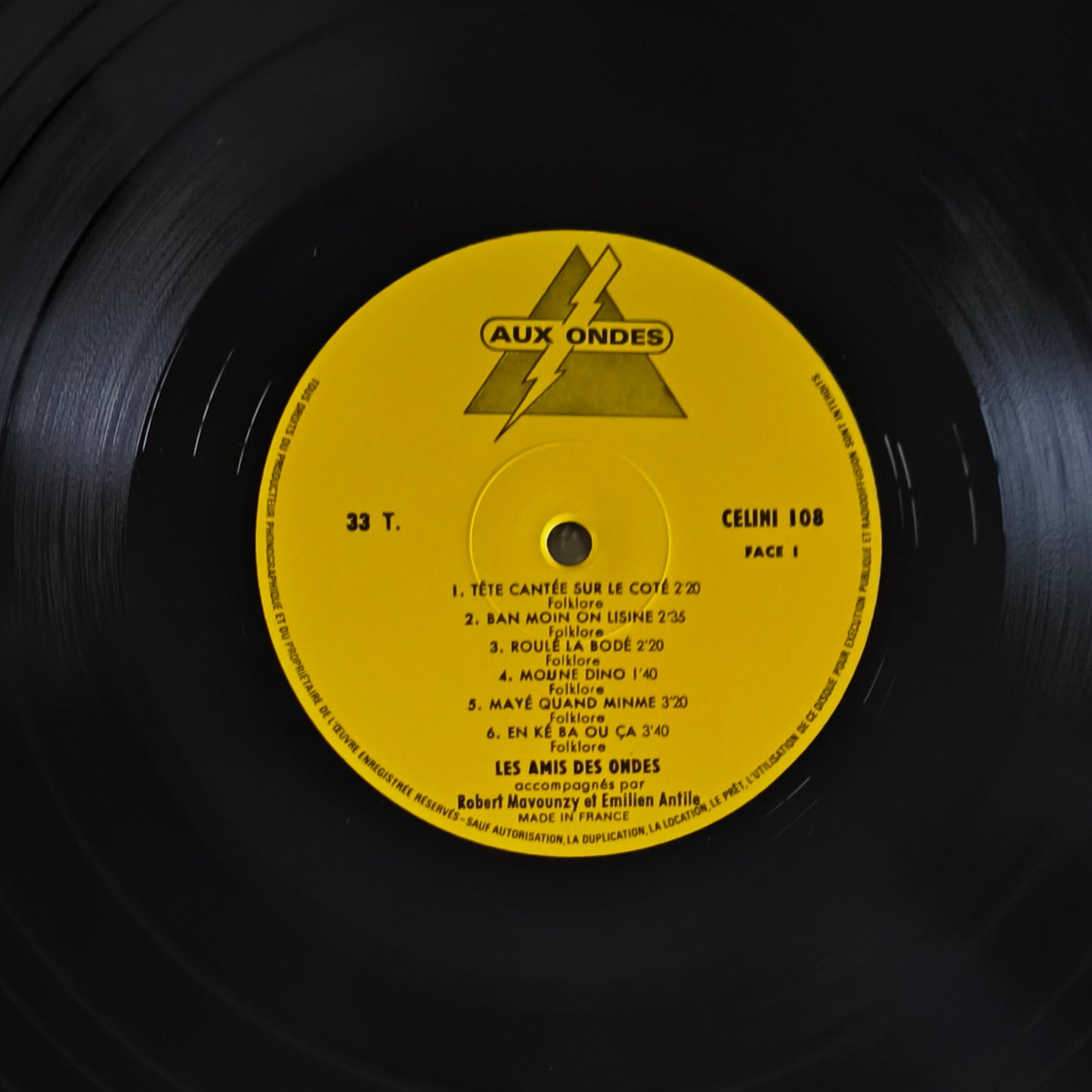 LES AMIS DES ONDES - A La Recherche Du Temps... Des Biguines