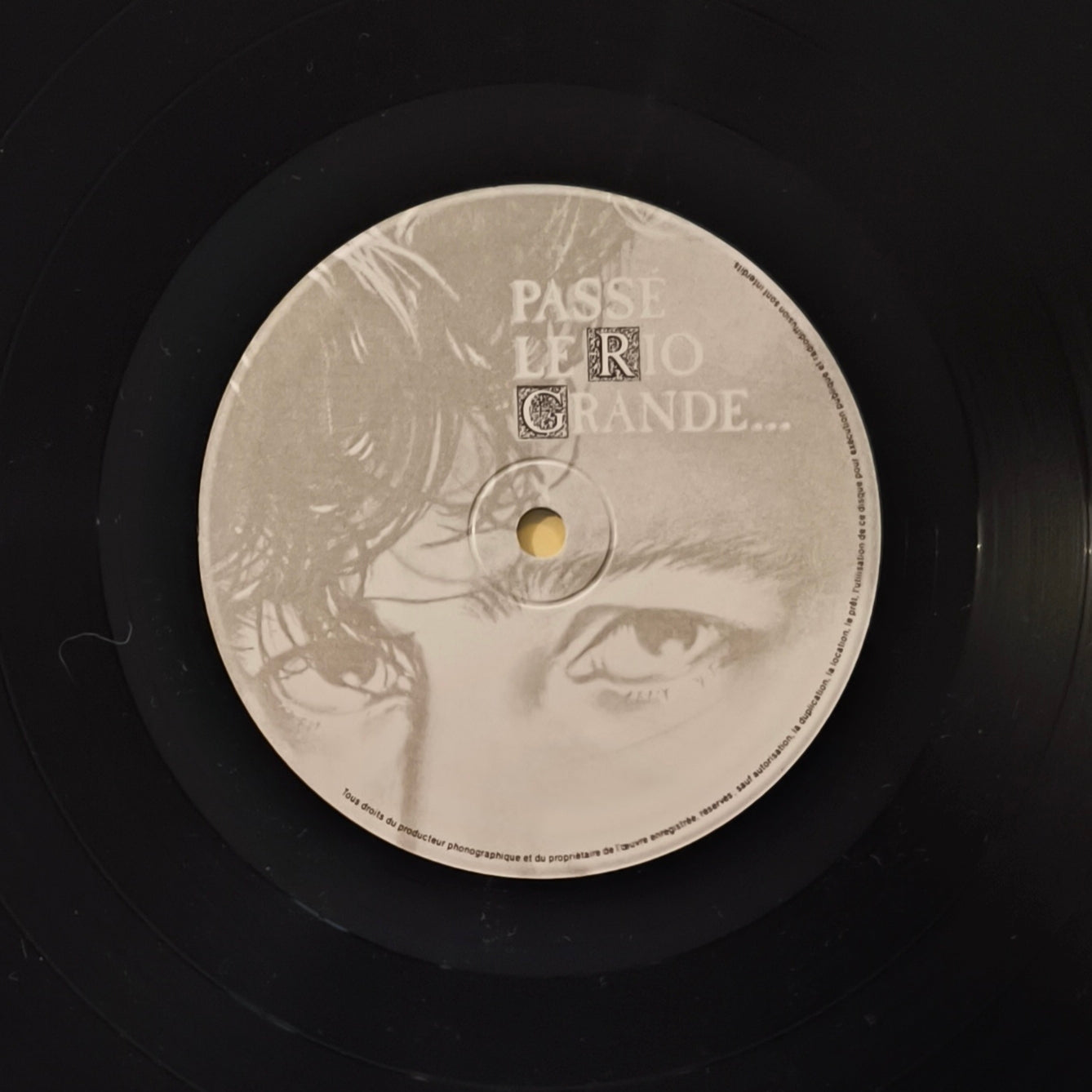 ALAIN BASHUNG - Passé Le Rio Grande...