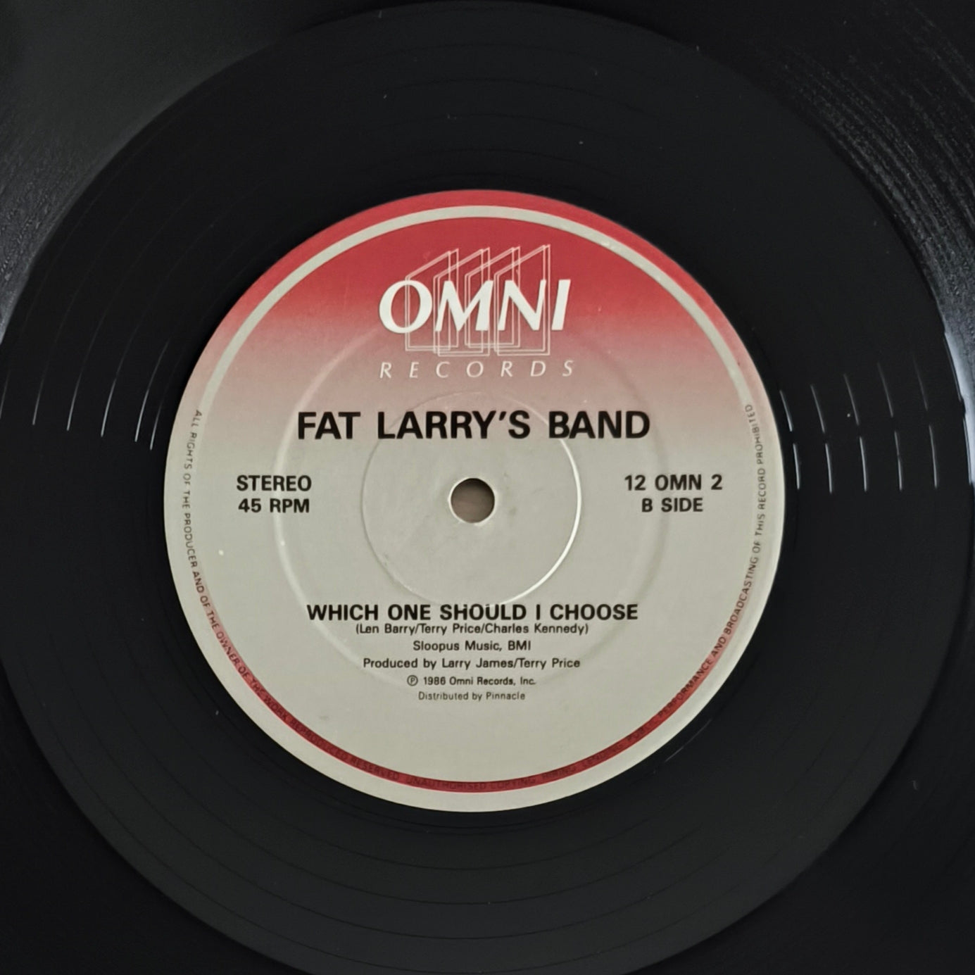 FAT LARRY'S BAND - Nice / Which One Should I Choose