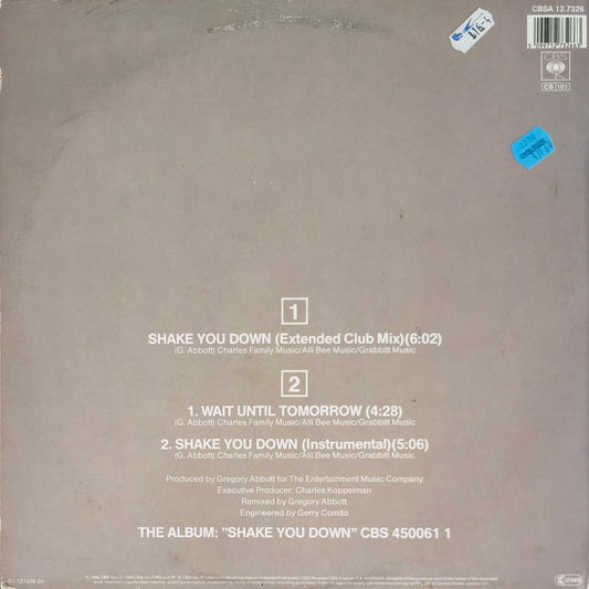 GREGORY ABBOTT - Shake You Down (Extended Club Mix)