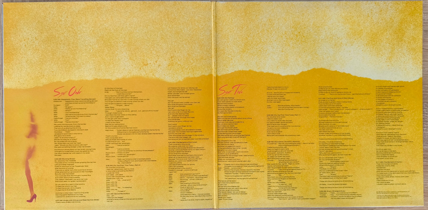 ROGER WATERS - The Pros And Cons Of Hitch Hiking