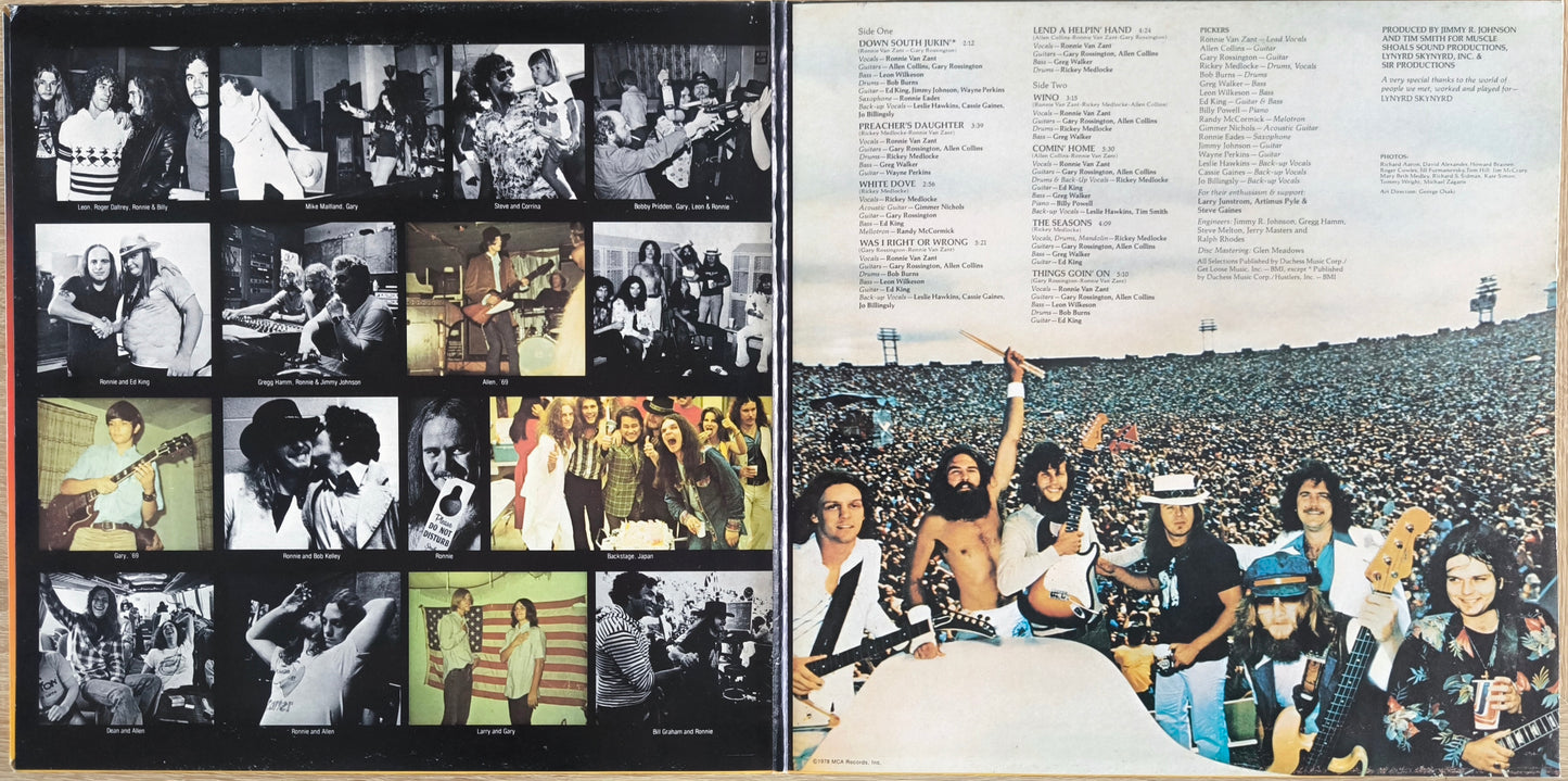 LYNYRD SKYNYRD - Skynyrd's First And... Last