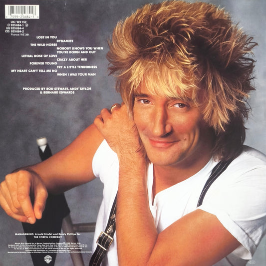 ROD STEWART - Out Of Order