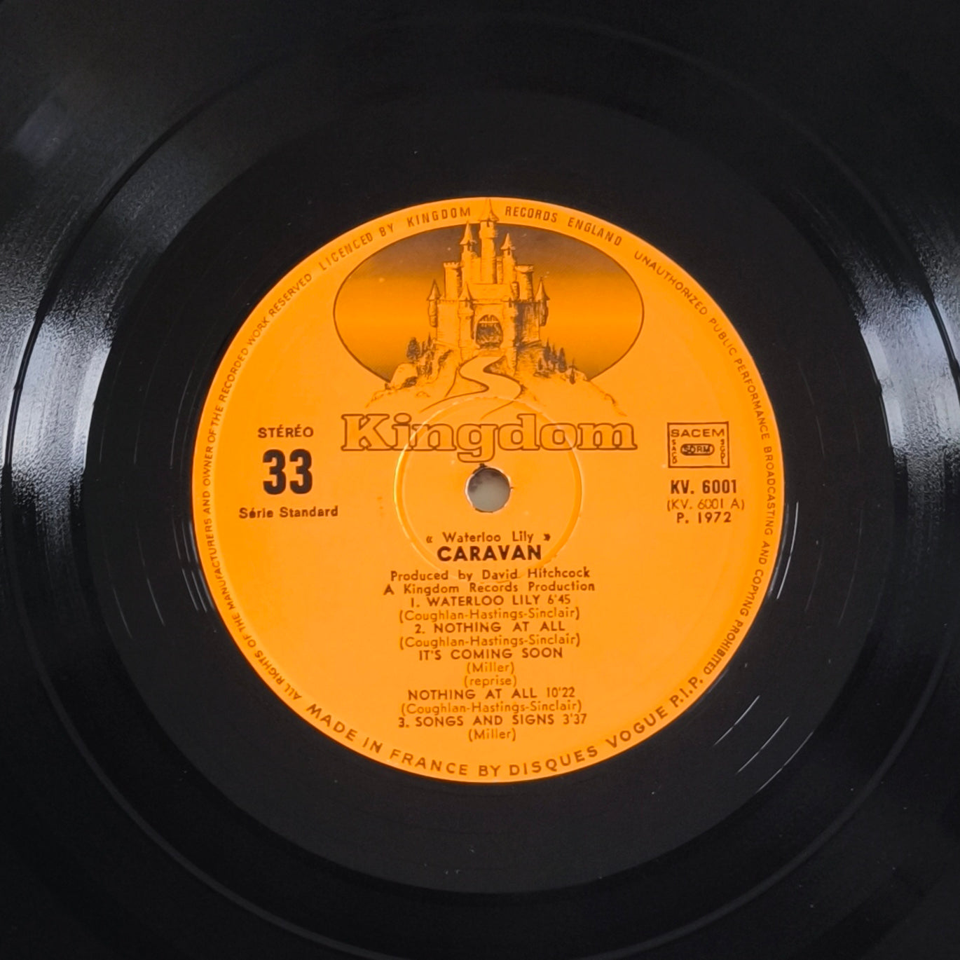 CARAVAN - Waterloo Lily