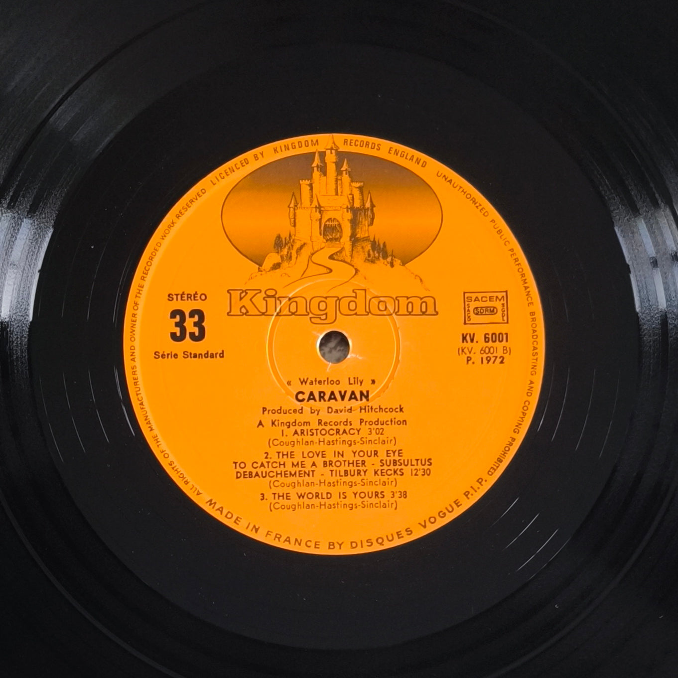 CARAVAN - Waterloo Lily