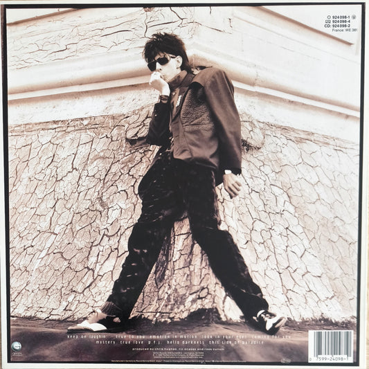 RIC OCASEK - This Side Of Paradise