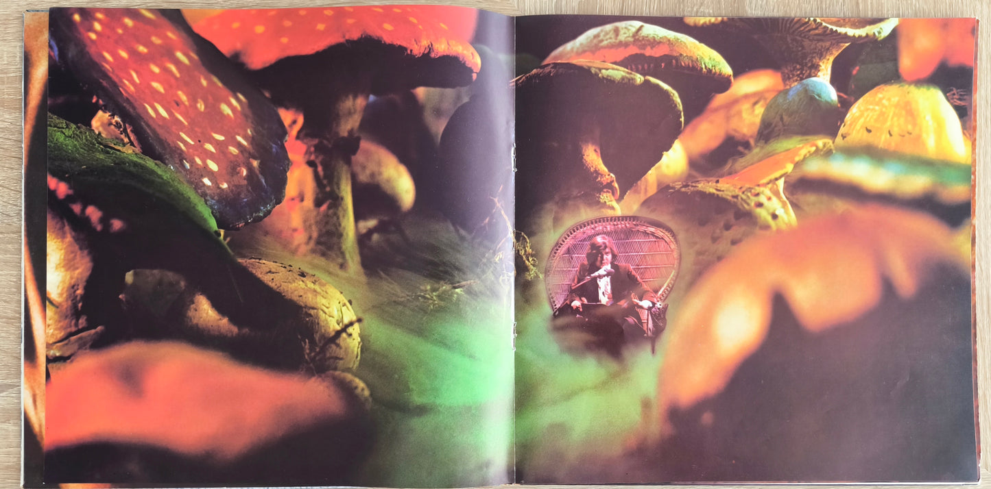 RICK WAKEMAN - Journey To The Centre Of The Earth