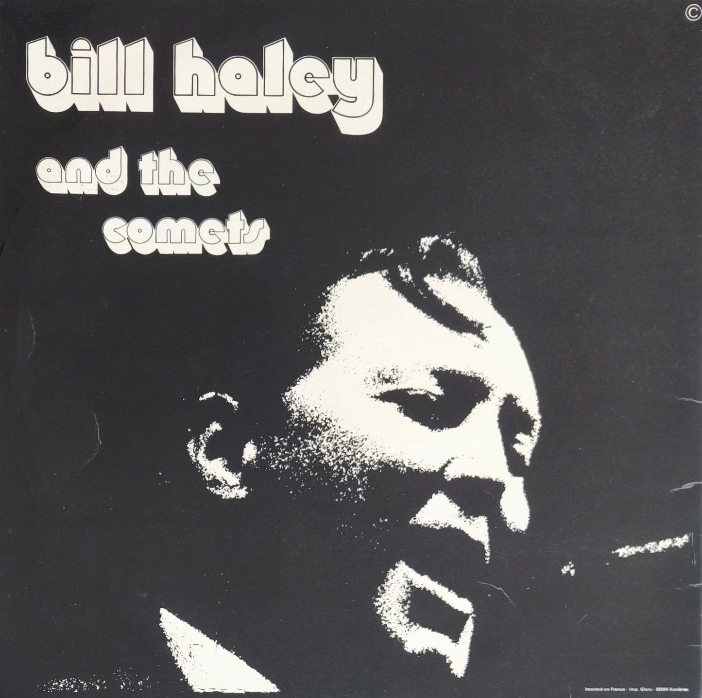 BILL HALEY AND THE COMETS - The King Of Rock!!