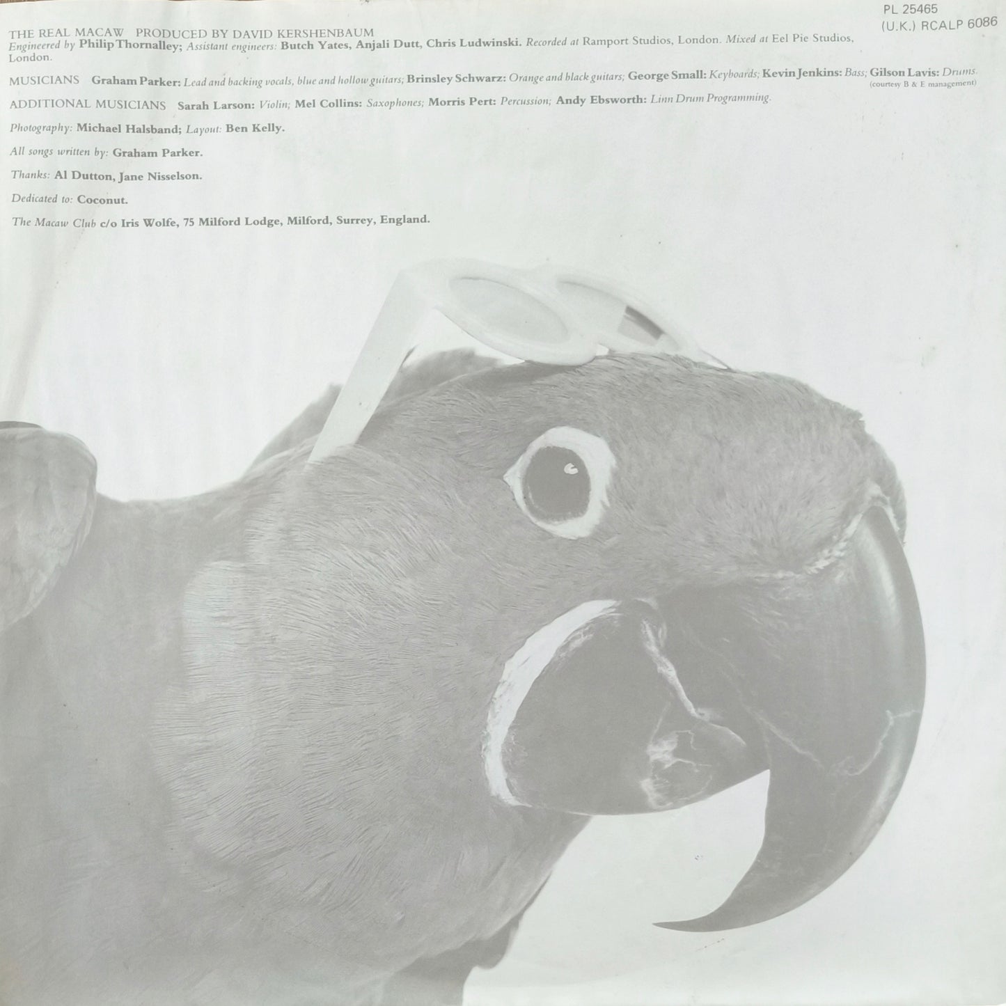 GRAHAM PARKER - The Real Macaw
