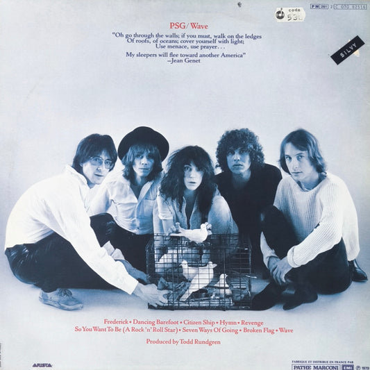 PATTI SMITH GROUP - Wave