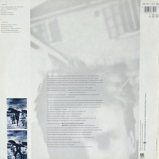 STING - The Dream Of The Blue Turtles