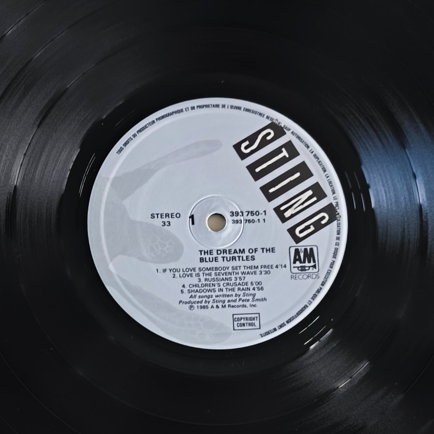 STING - The Dream Of The Blue Turtles