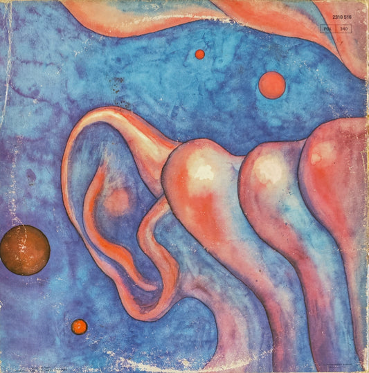 KING CRIMSON - In The Court Of The Crimson King (An Observation By King Crimson)