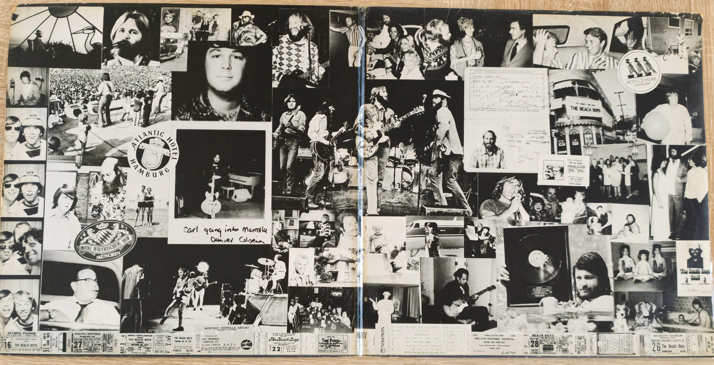 THE BEACH BOYS - 15 Big Ones