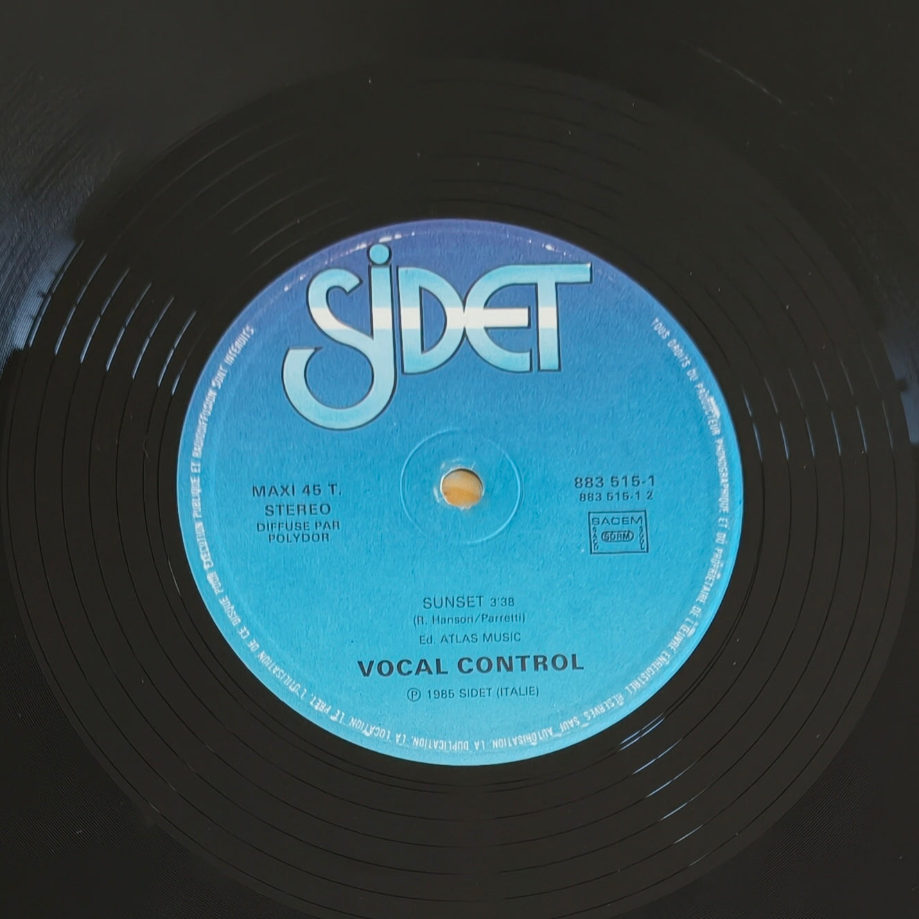 VOCAL CONTROL - Cheri Cheri Lady