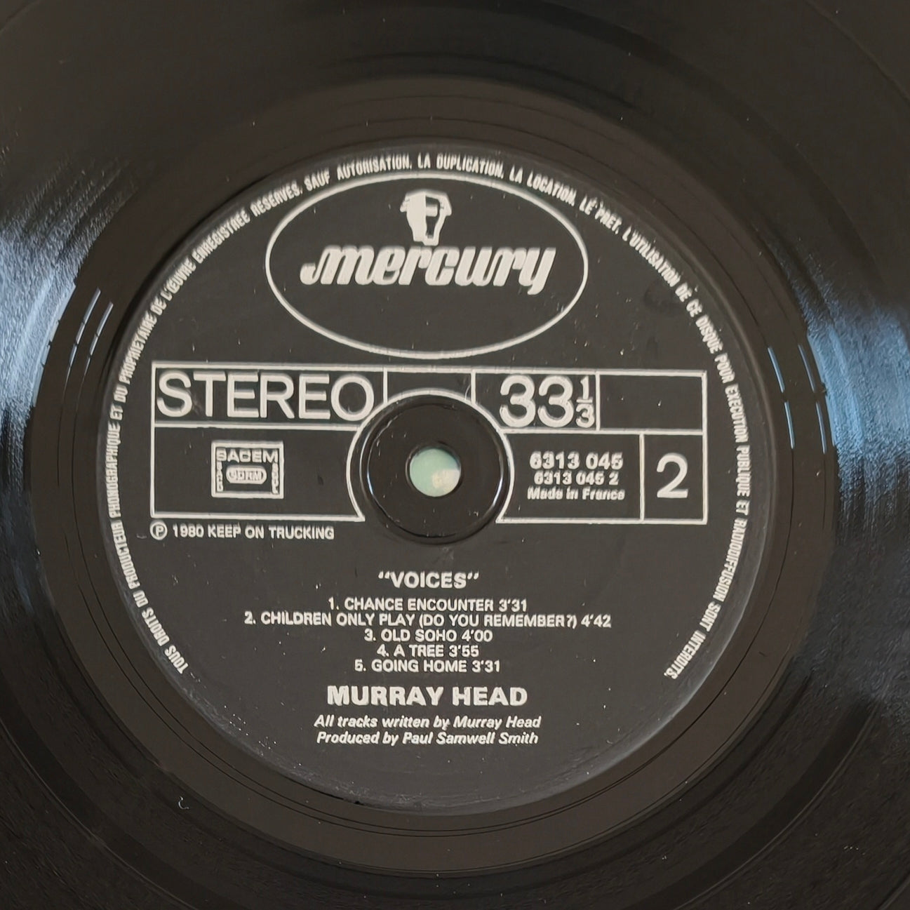 MURRAY HEAD - Voices