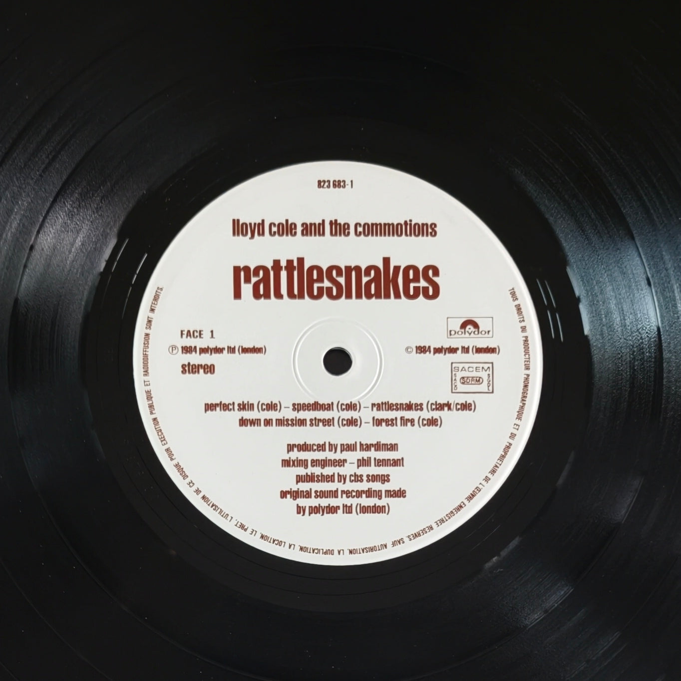 LLOYD COLE AND THE COMMOTIONS - Rattlesnakes