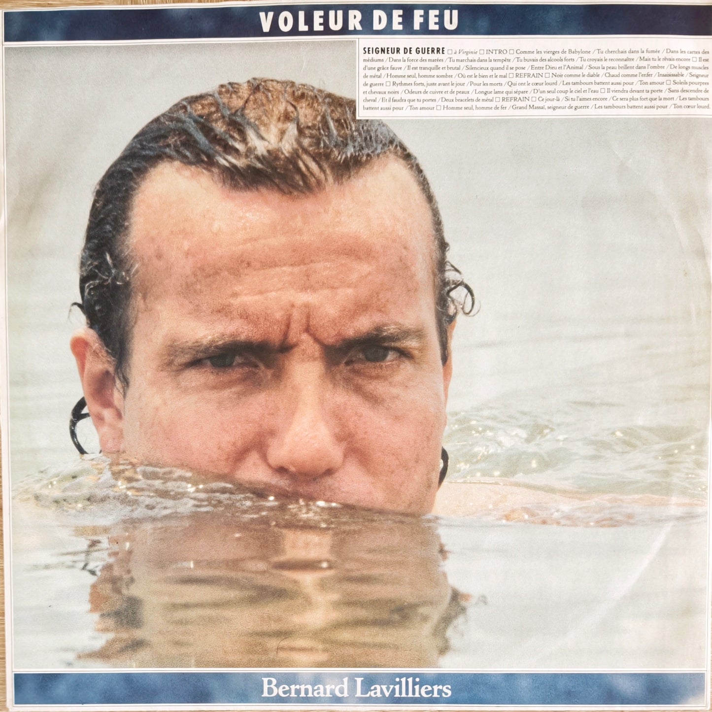 BERNARD LAVILLIERS - Voleur De Feu