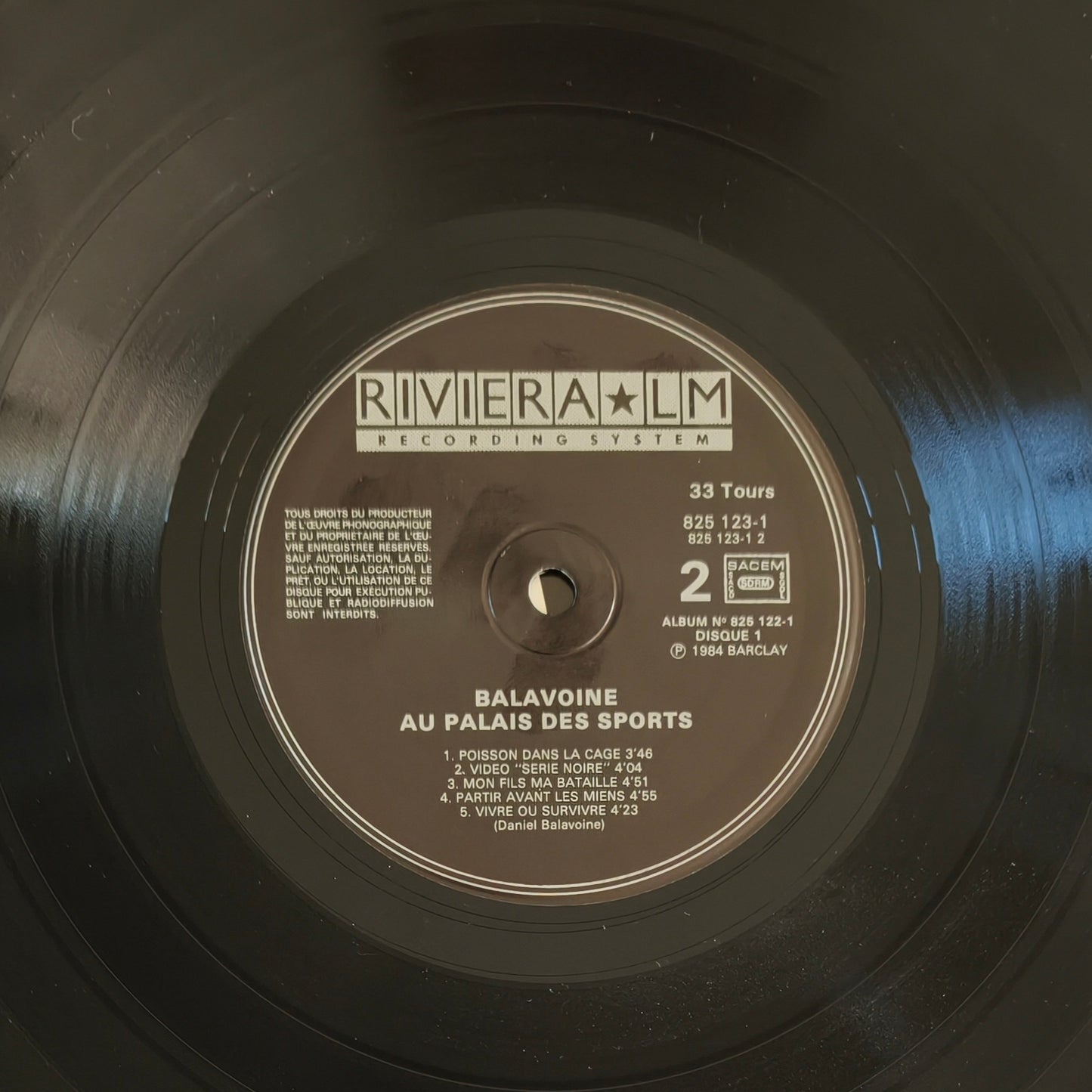 DANIEL BALAVOINE - Au Palais Des Sports