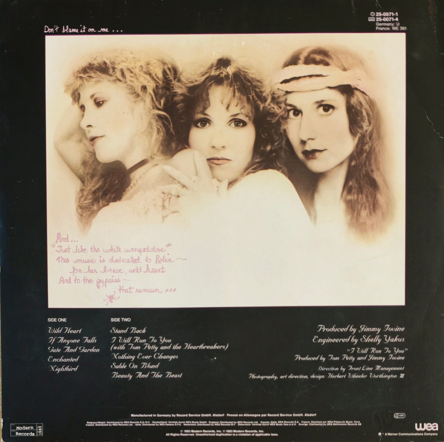 STEVIE NICKS - The Wild Heart