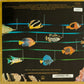 STEVIE WONDER - Stevie Wonder's Original Musiquarium 1 (Pressage UK)