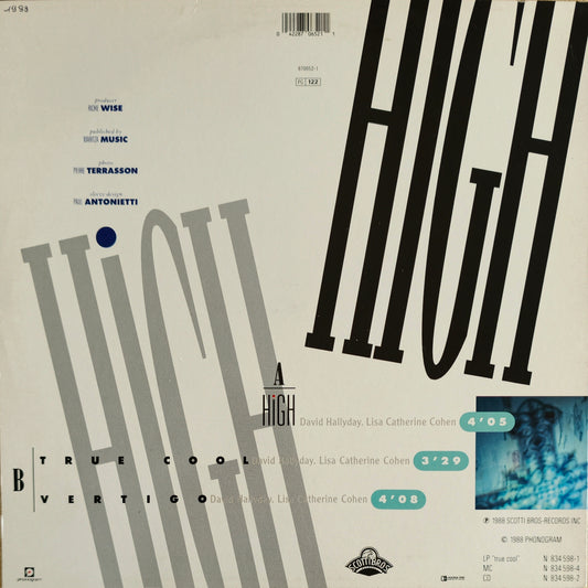 DAVID HALLYDAY - High