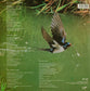 MIKE OLDFIELD - The Complete Mike Oldfield