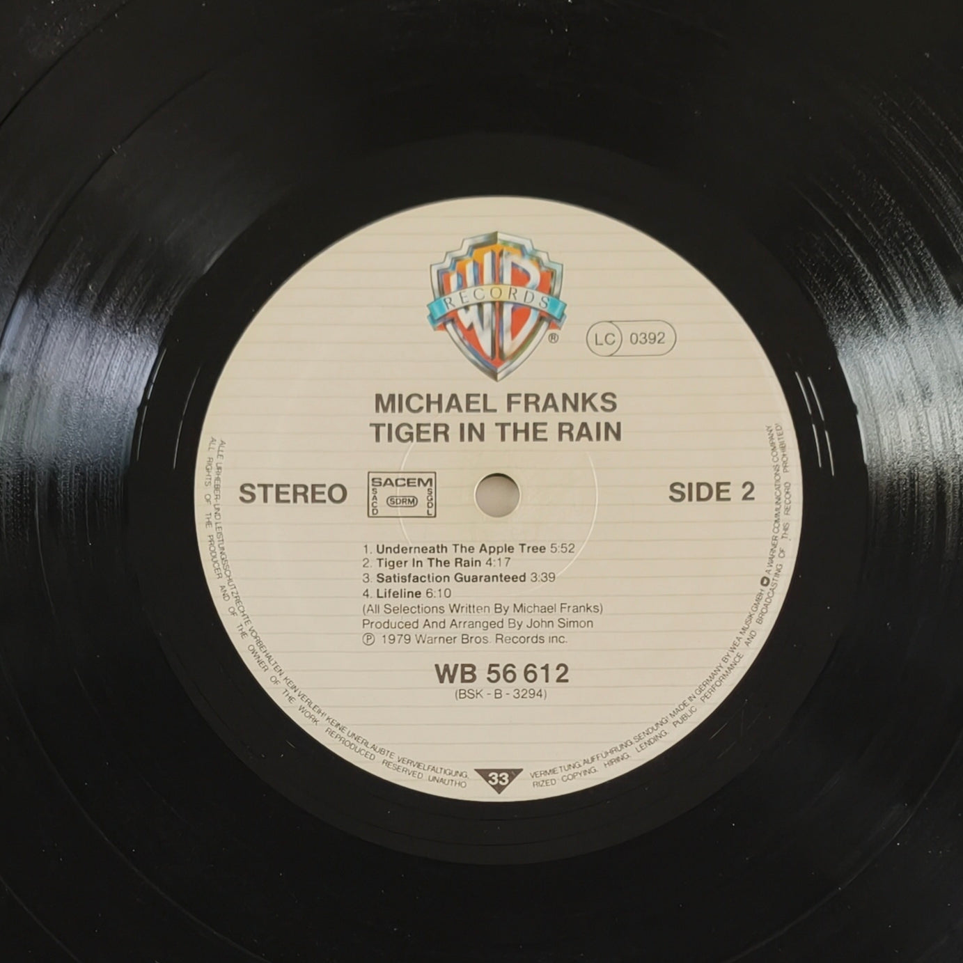 MICHAEL FRANKS - Tiger In The Rain