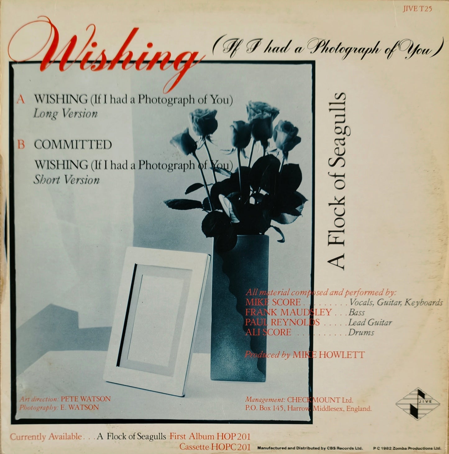 A FLOCK OF SEAGULLS - Wishing (If I Had A Photograph Of You) (Pressage UK)
