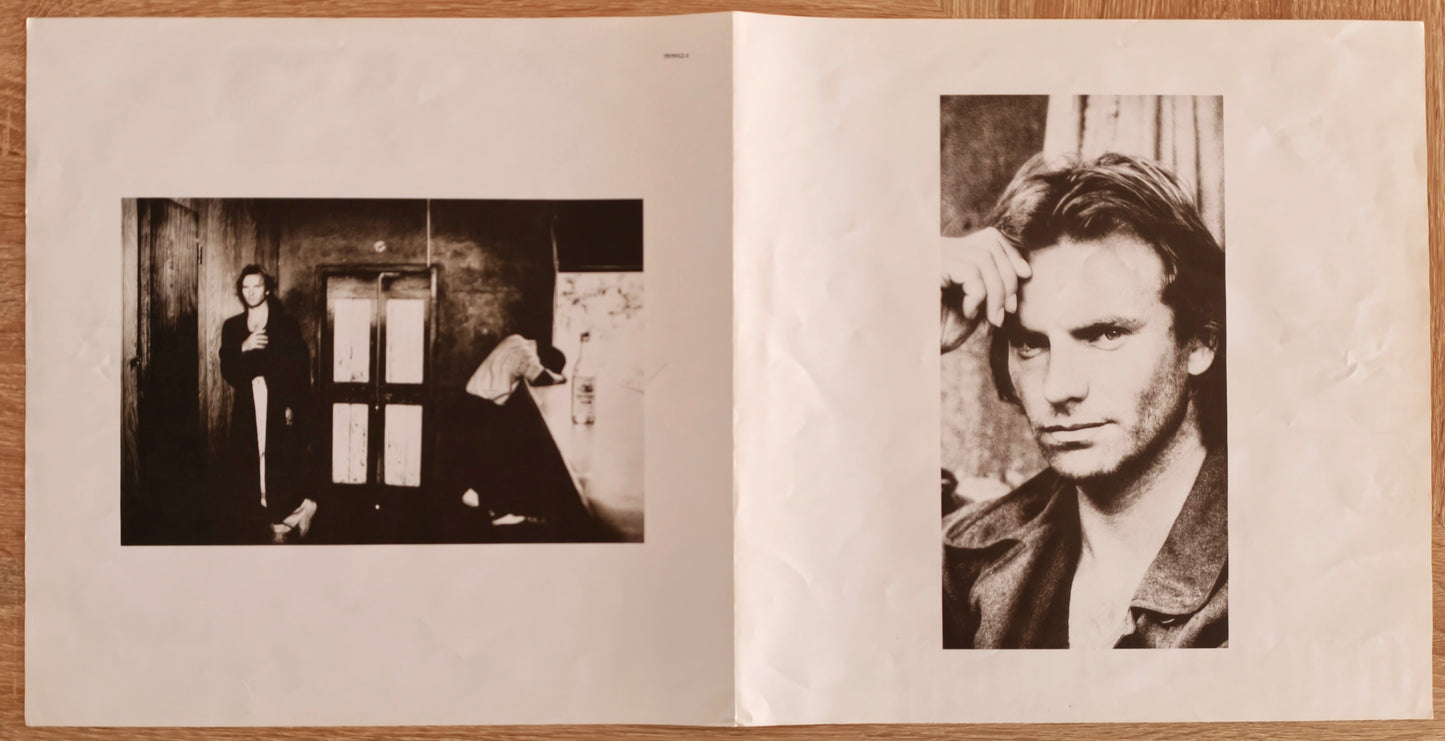 STING - ...Nothing Like The Sun