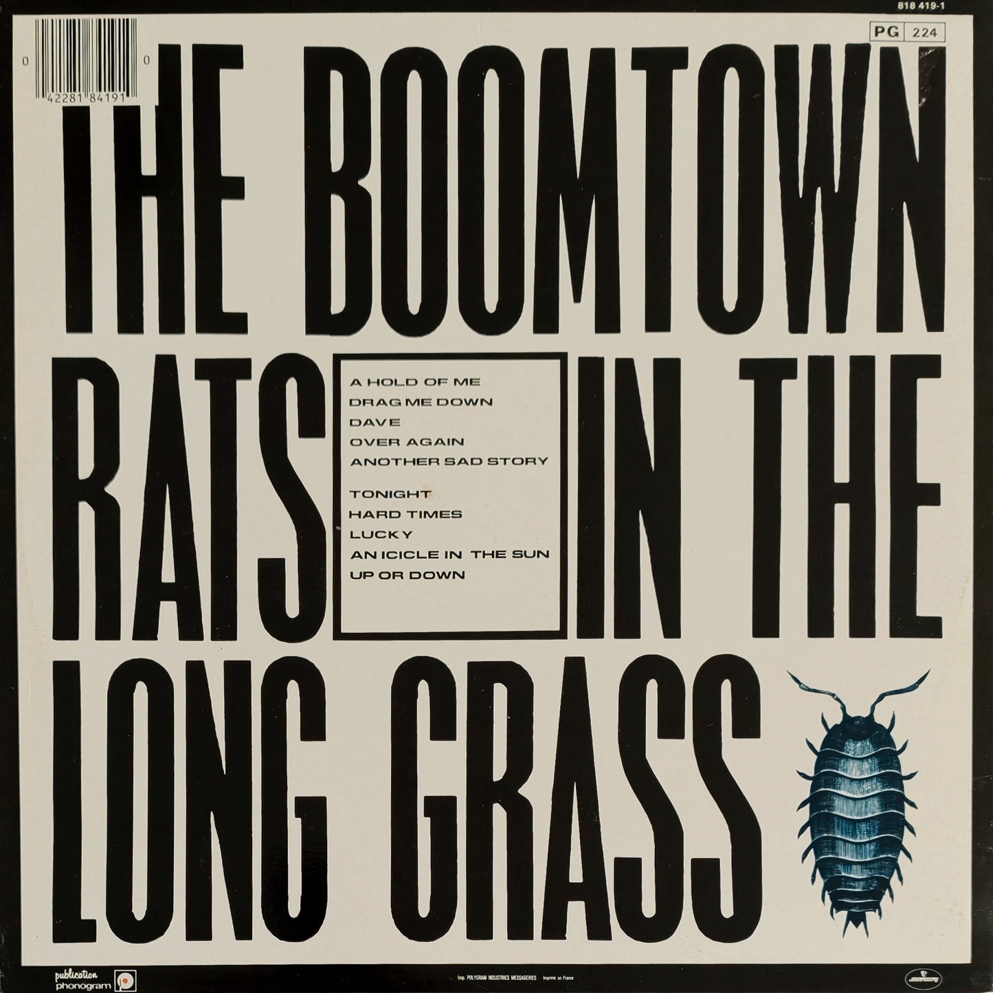 THE BOOMTOWN RATS - In The Long Grass