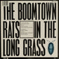 THE BOOMTOWN RATS - In The Long Grass