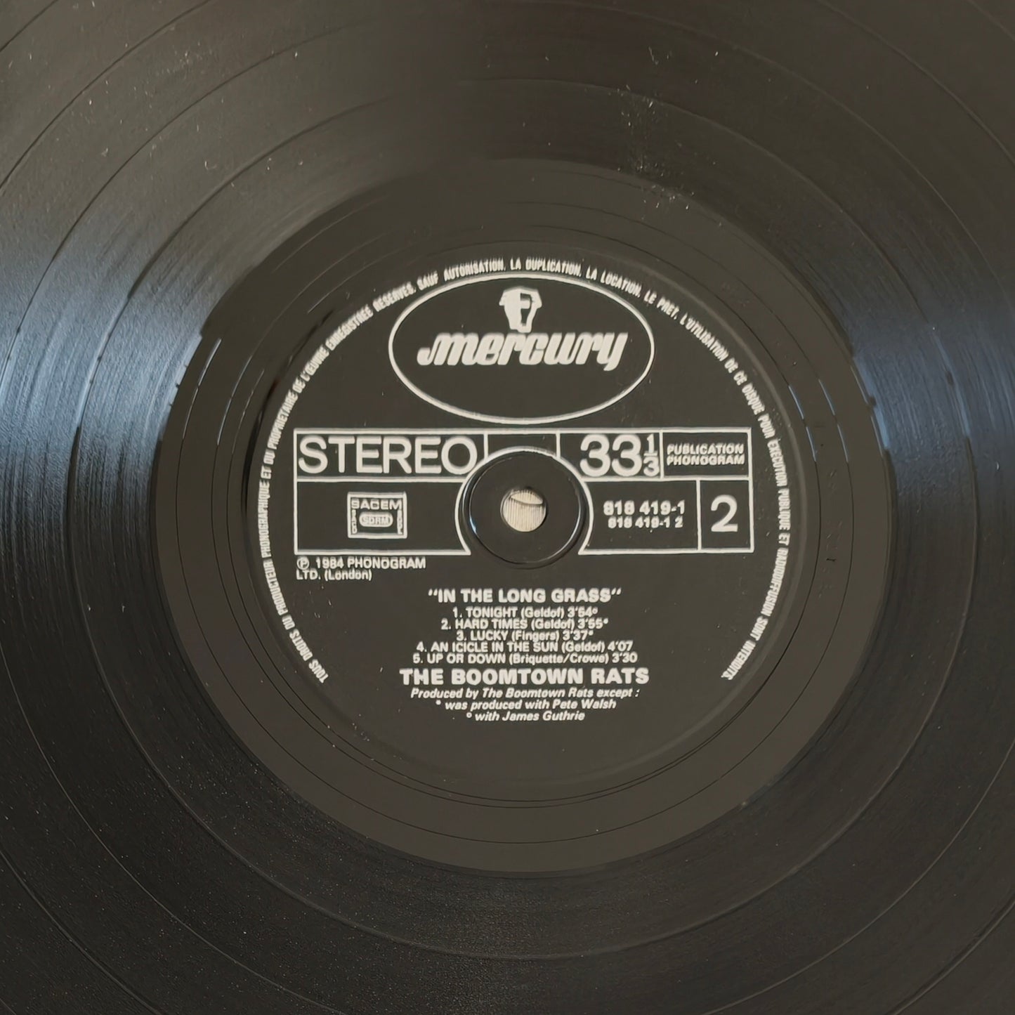 THE BOOMTOWN RATS - In The Long Grass
