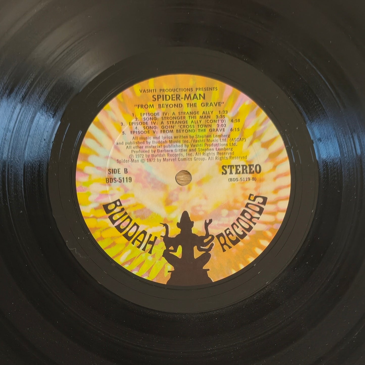 RON DANTE, THE WEBSPINNERS - The Amazing Spider-Man: From Beyond The Grave - A Rockomic