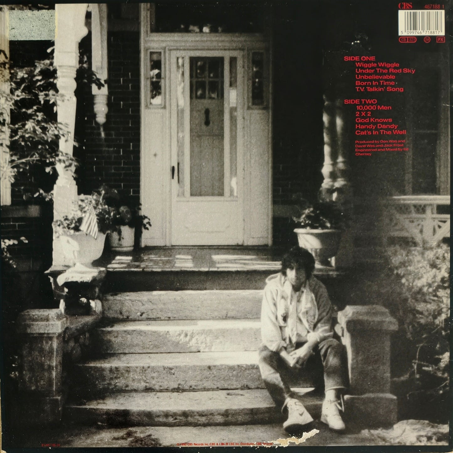 BOB DYLAN - Under the Red Sky