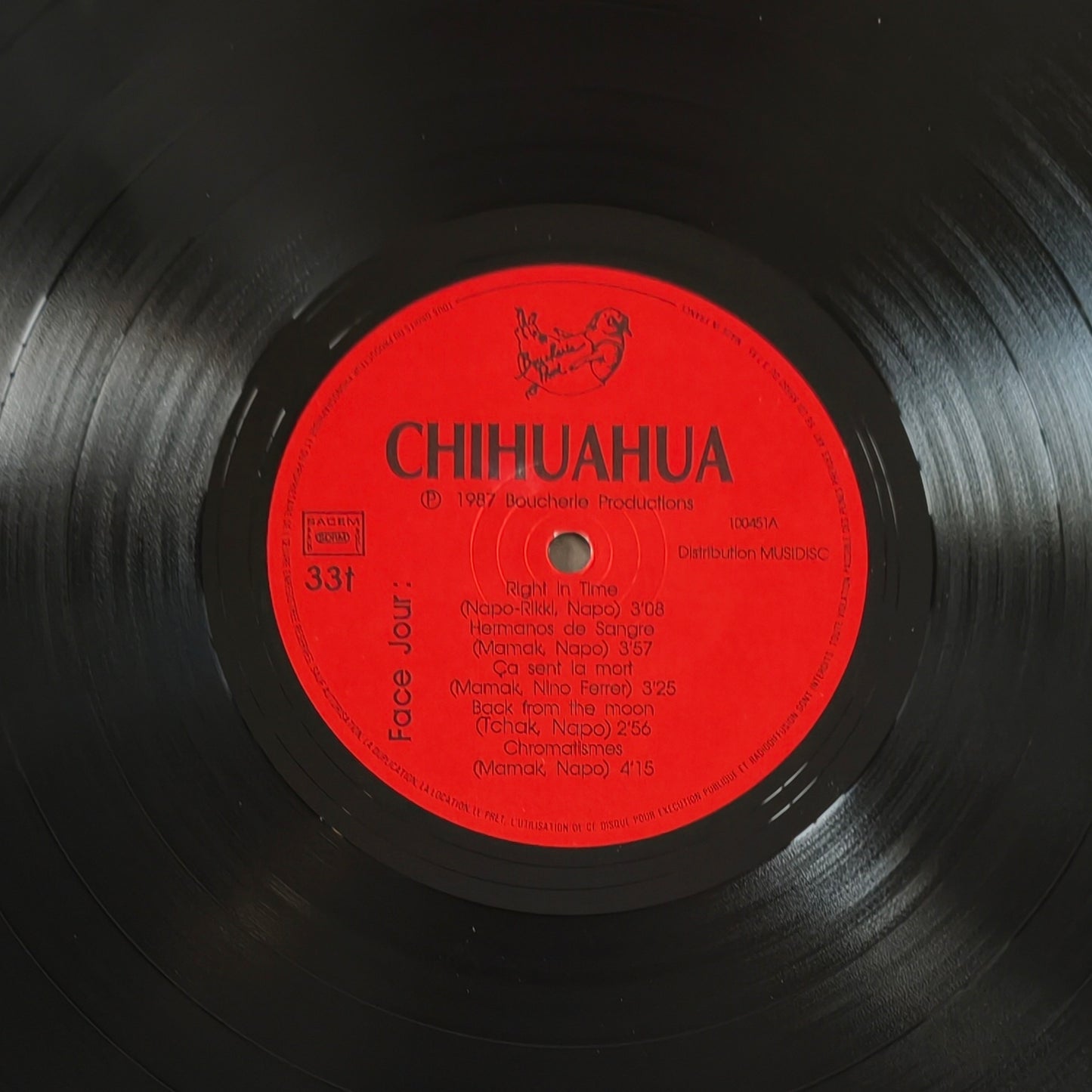 CHIHUAHUA - Fiesta De La Mort