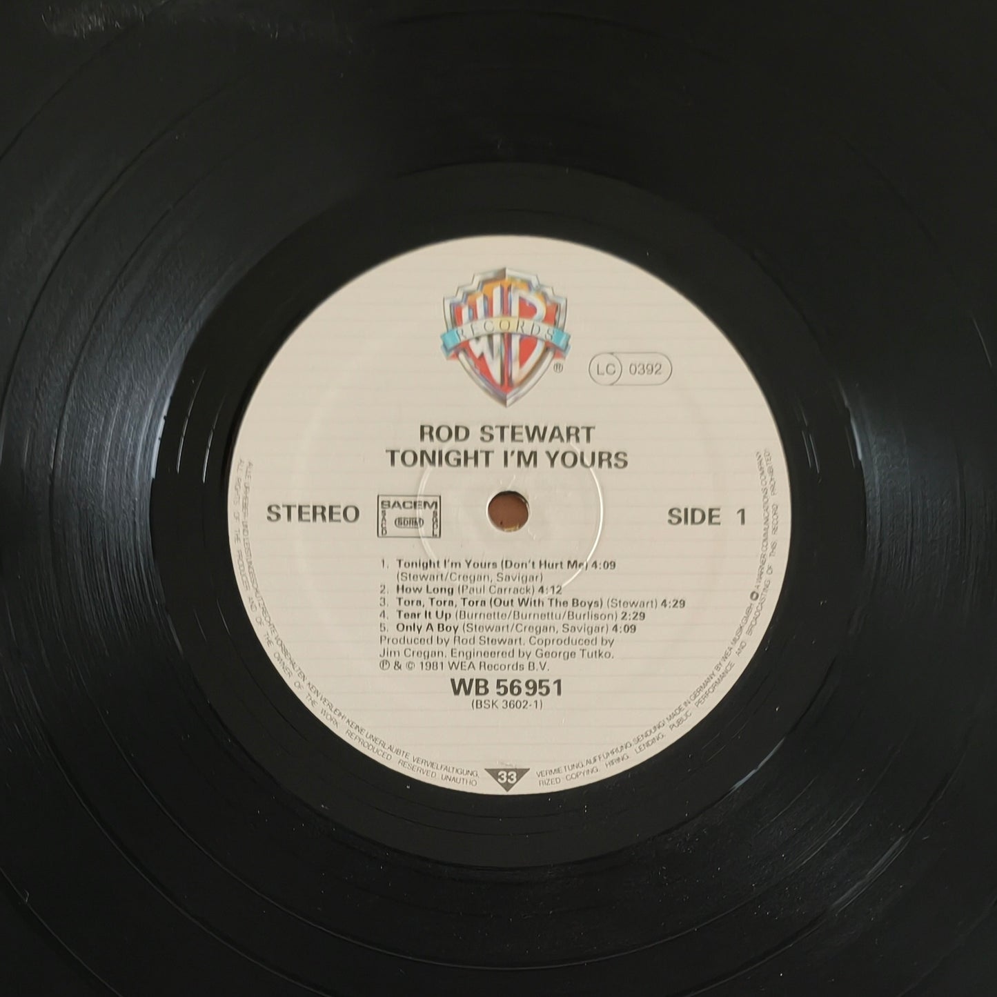 ROD STEWART - Tonight I'm Yours