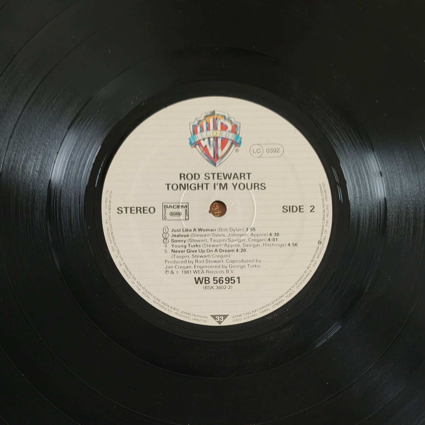 ROD STEWART - Tonight I'm Yours