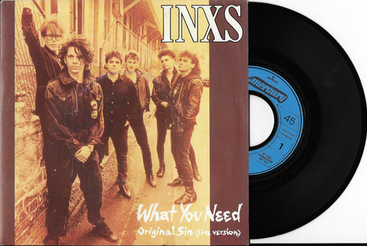 INXS - What You Need