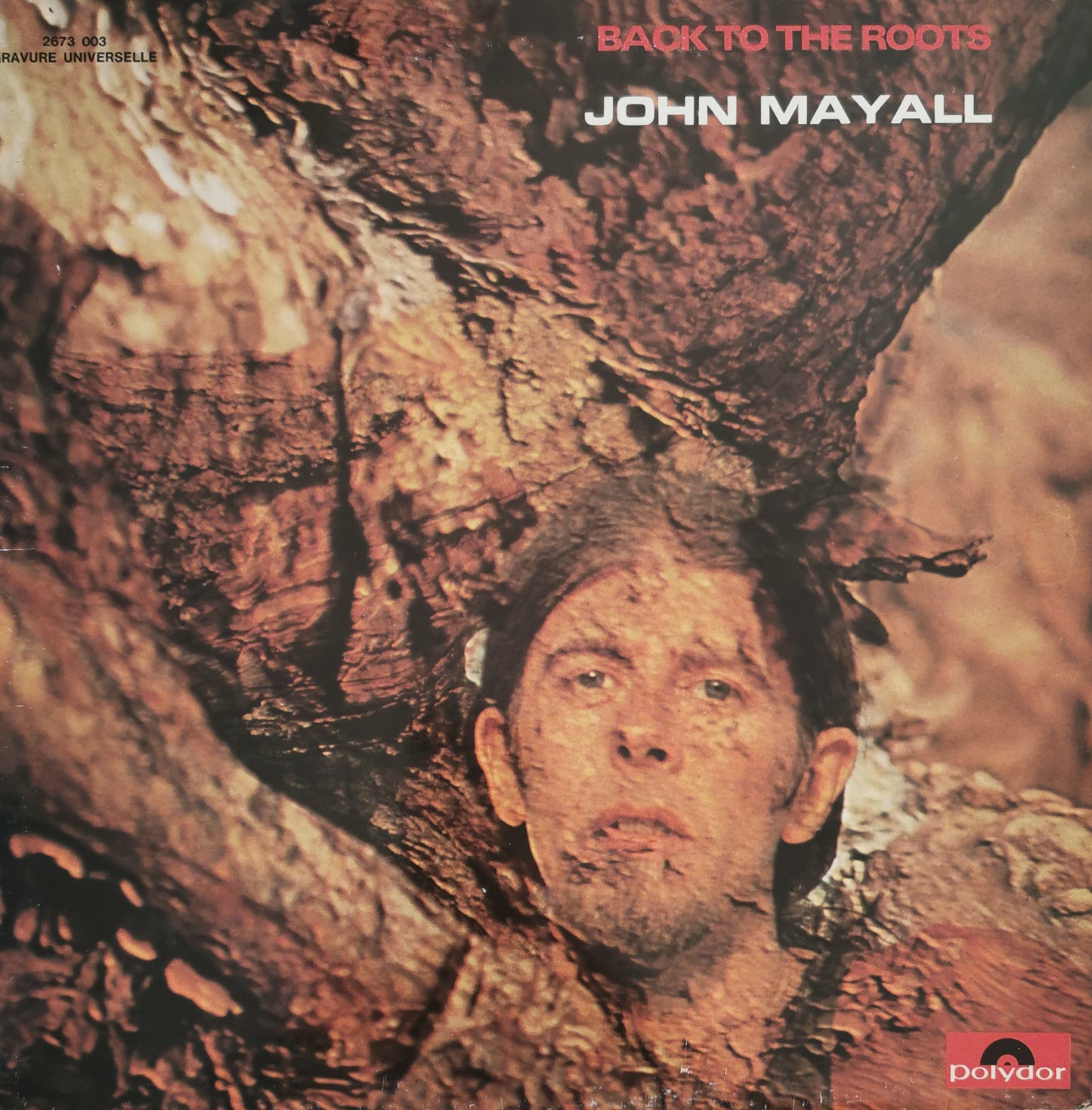 JOHN MAYALL - Back To The Roots