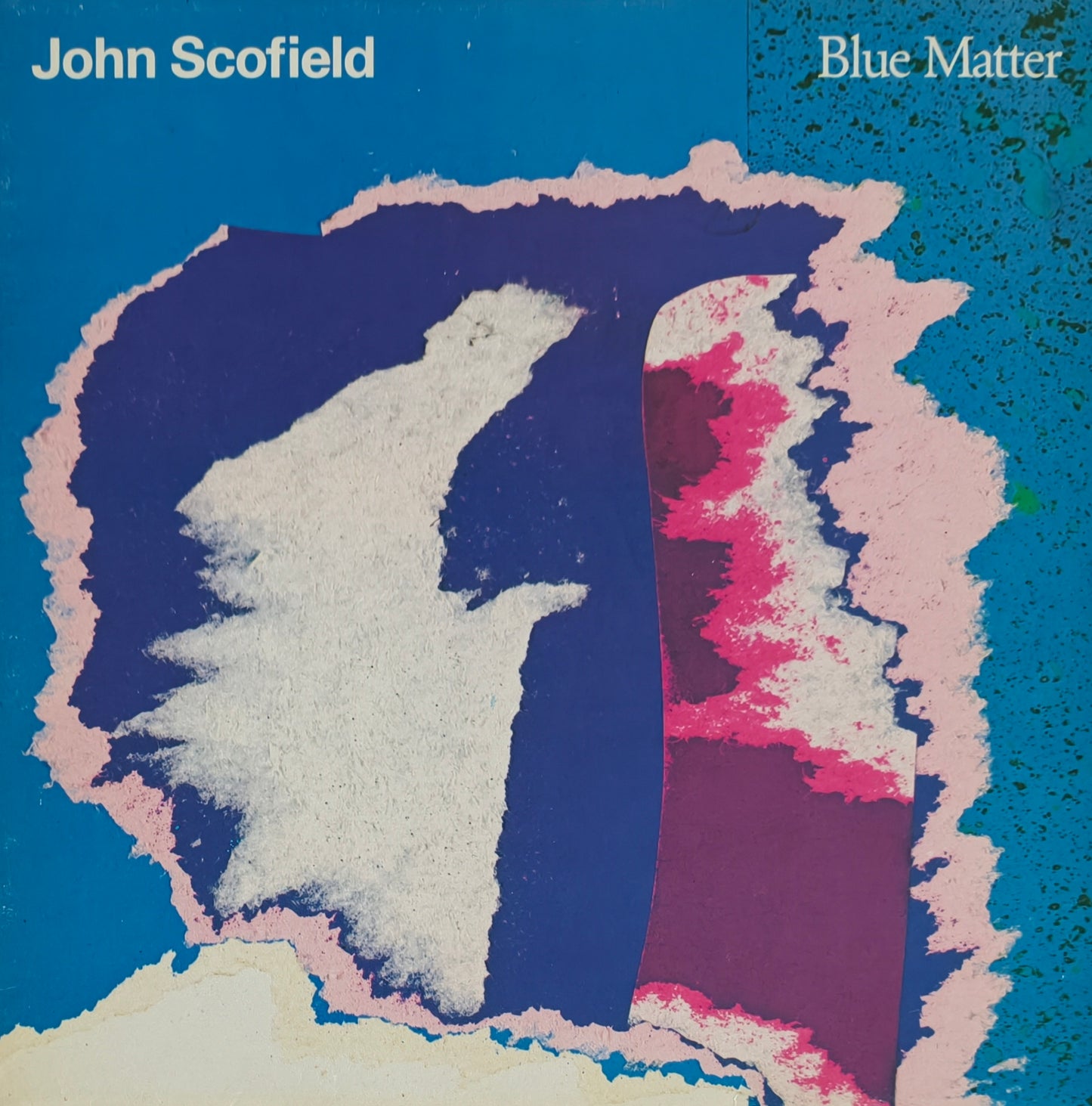 JOHN SCOFIELD - Blue Matter