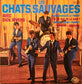 LES CHATS SAUVAGES avec DICK RIVERS - Untitled