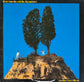 ELVIS COSTELLO AND THE ATTRACTIONS - Goodbye Cruel World