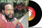 MARVIN GAYE - Sexual Healing