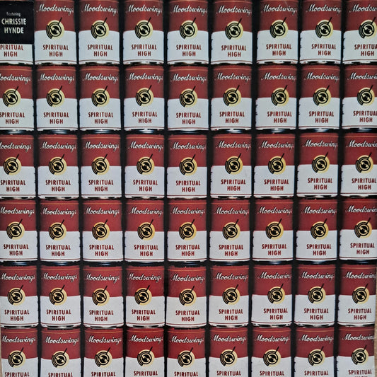 MOODSWINGS Featuring CHRISSIE HYNDE - Spiritual High