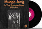 MUNGO JERRY - In The Summertime